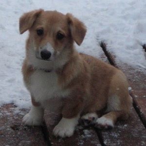 Meet your Posher, Suz